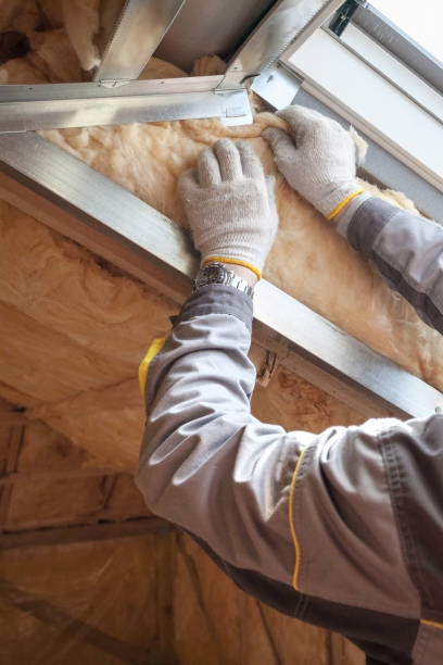 Best Geographic-Specific Insulation Services in Big Lake, MN
