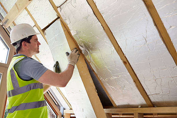 Best Eco-Friendly Insulation in Big Lake, MN