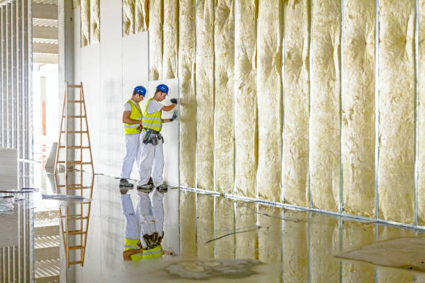 Best Energy Efficiency Insulation in Big Lake, MN